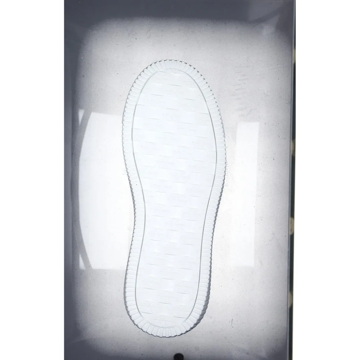 Calvin Klein YW0YW01224, Schnürschuhe, Damen, white/silver