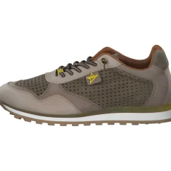 Cetti C848 EXP M, Klassische- & Business Schuhe, Herren, Beige