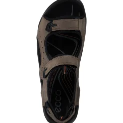 Ecco Offroad 822044, Klassische Sandalen, Herren, Braun (Brown)