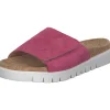 Gabor 83.741, Pantoletten, Damen, Magenta