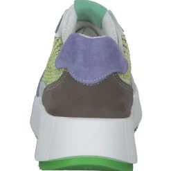 Palado PA 0034, Schnürschuhe, Damen, Weiß/Blau/Grün/Gelb