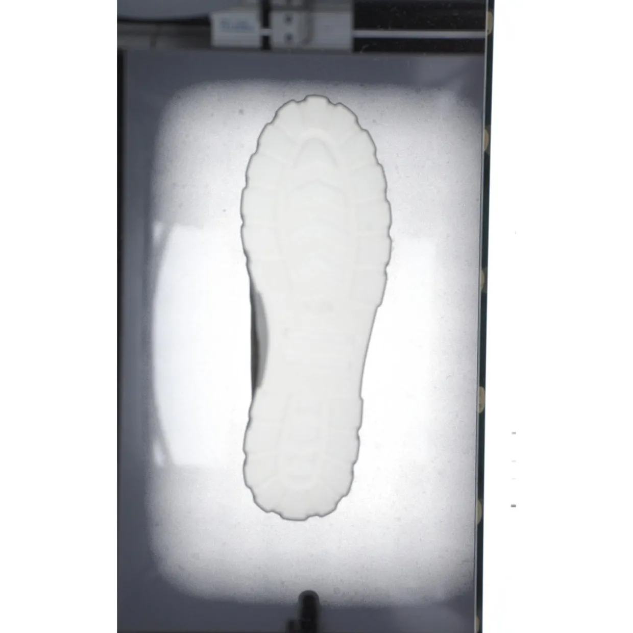 Palladium 98574, Schnürschuhe, Damen, vetiver